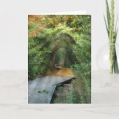 Forest Sunams for Sympathy Card Karte (Vorderseite)