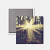 Forest Sunams Magnet (Vorderseite/Rückseite)