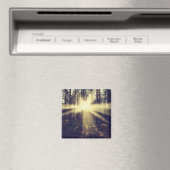 Forest Sunams Magnet (In Situ (Geschirrspüler))