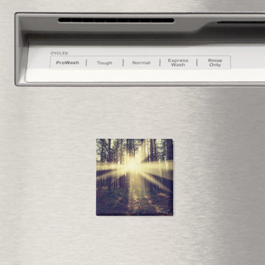 Forest Sunams Magnet (In Situ (Geschirrspüler))