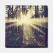Forest Sunams Magnet (Vorne)