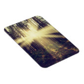 Forest Sunams Magnet (Rechte Seite)
