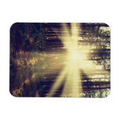 Forest Sunams Magnet (Horizontal)