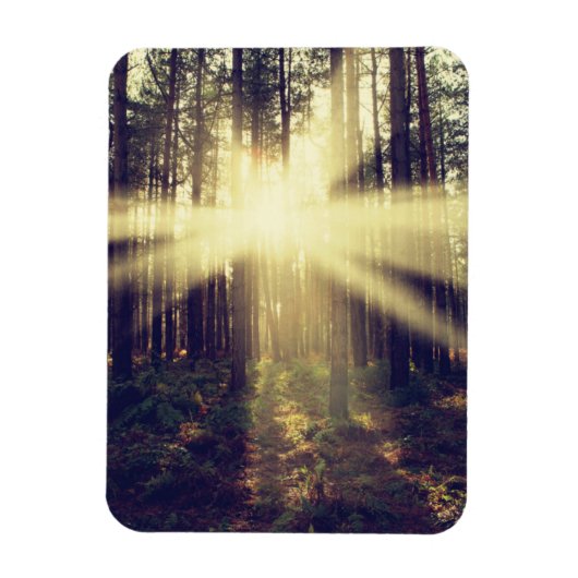 Forest Sunams Magnet (Vertikal)