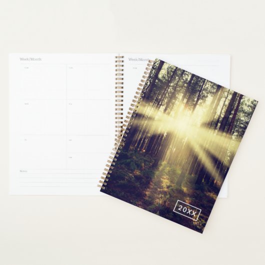 Forest Sunams Planer (Anzeige)
