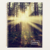 Forest Sunams Planer (Vorderseite)