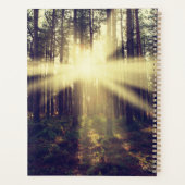 Forest Sunams Planer (Rückseite)