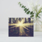 Forest Sunams Postkarte (Stehend Vorderseite)