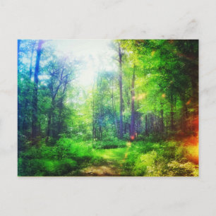 FOREST SUNCOLORS POSTCARD POSTKARTE