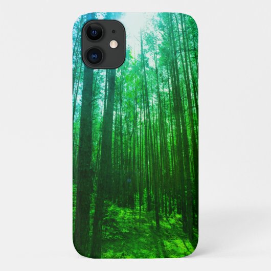 Forest Trees Sky Belarus Nature iPhone 11 Fall Case-Mate iPhone Hülle (Rückseite)