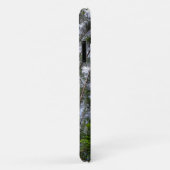 Forest Trees Sky Belarus Nature iPhone 11 Fall Case-Mate iPhone Hülle (Hinten/Rechts)