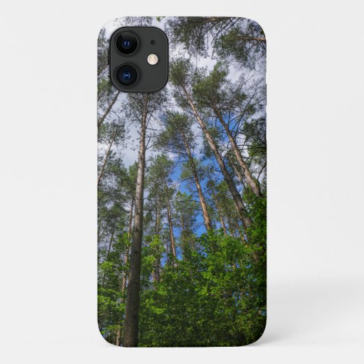 Forest Trees Sky Belarus Nature iPhone 11 Fall Case-Mate iPhone Hülle (Rückseite)