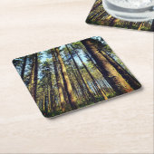 Forest Trees Square Paper Untersetzer (angewinkelt)