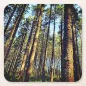 Forest Trees Square Paper Untersetzer (Vorderseite)