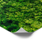 Forest view from above, aerial top view with copy poster (Ecke)
