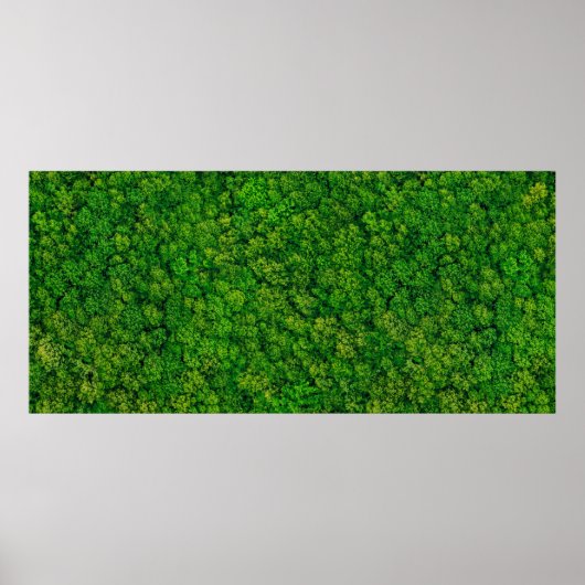 Forest view from above, aerial top view with copy poster (Vorne)