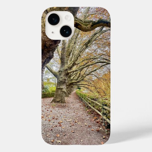 Forest Walkway iPhone Case (Rückseite)
