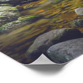 Forest waterfall poster (Ecke)