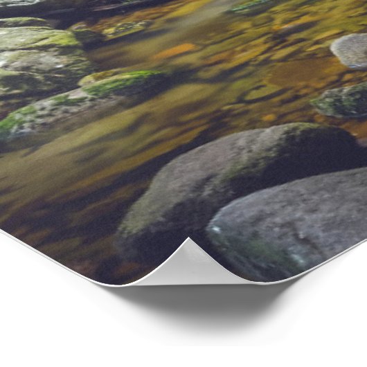 Forest waterfall  poster (Ecke)