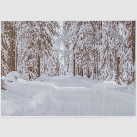 Forest Winter 11 Dekoupage Tissue Seidenpapier (Vorderseite)