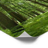 Forest with Sun Behind Poster (Ecke)