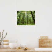 Forest with Sun Behind Poster (Küche)