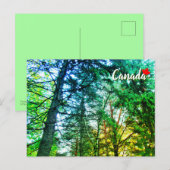 Forest Woodland Medley of Trees Canada Postkarte (Vorne/Hinten)