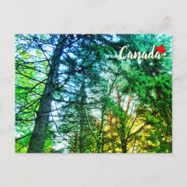 Forest Woodland Medley of Trees Canada Postkarte