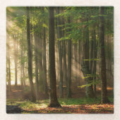 Forests Autumn Forest Glasuntersetzer (Vorderseite)