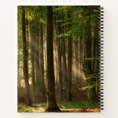 Forests | Autumn Forest Notizblock (Rückseite)