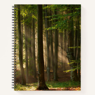 Forests Autumn Forest Notizblock
