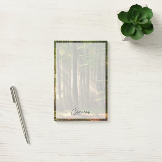 Forests Autumn Forest Post-it Klebezettel (Büro)