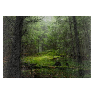 Forests   Auvergne France Schneidebrett