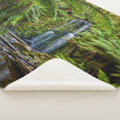 Forests Beauchamp Falls Australia Sherpadecke (3/4)