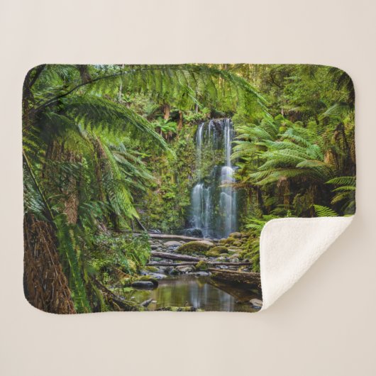 Forests Beauchamp Falls Australia Sherpadecke (Vorderseite (Horizontal))