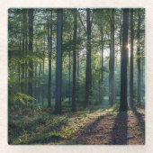 Forests Black Forest Germany Glasuntersetzer (Vorderseite)