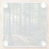 Forests Black Forest Germany Glasuntersetzer (Rückseite)