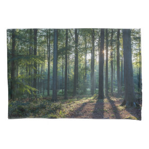 Forests Black Forest Germany Kissenbezug