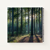 Forests | Black Forest Germany Notizblock (Rückseite)