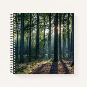 Forests Black Forest Germany Notizblock