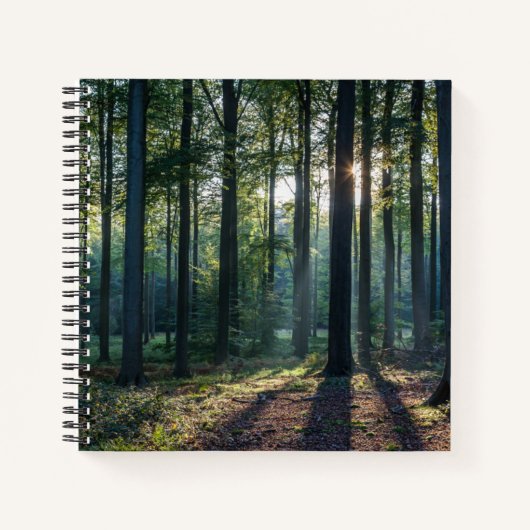 Forests | Black Forest Germany Notizblock (Vorderseite)