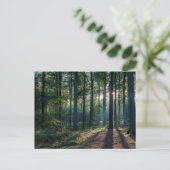 Forests | Black Forest Germany Postkarte (Stehend Vorderseite)