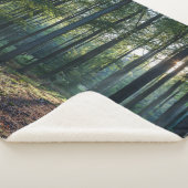 Forests | Black Forest Germany Sherpadecke (3/4)