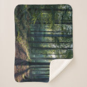 Forests | Black Forest Germany Sherpadecke (Vorderseite)