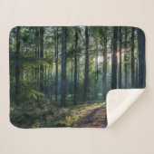 Forests | Black Forest Germany Sherpadecke (Vorderseite (Horizontal))
