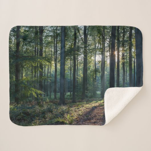 Forests | Black Forest Germany Sherpadecke (Vorderseite (Horizontal))