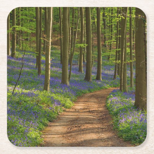 Forests Bluebell Forest in Belgien Rechteckiger Pappuntersetzer (Vorderseite)