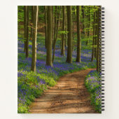 Forests | Bluebell Forest in Belgium Notizblock (Rückseite)