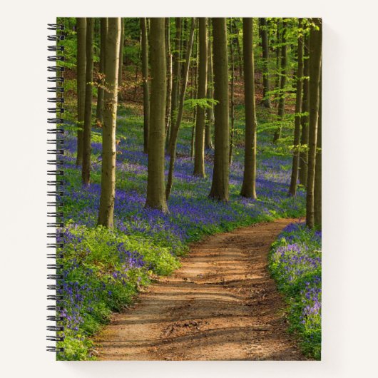Forests | Bluebell Forest in Belgium Notizblock (Vorderseite)