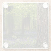 Forests Bluebells in Belgium Glasuntersetzer (Rückseite)